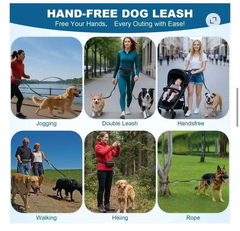 Hands-Free Dog Leash with Waist Pouch and Dual Bungee Handles